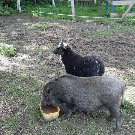 Гостевой дом Le Domi Dury (Aisne)