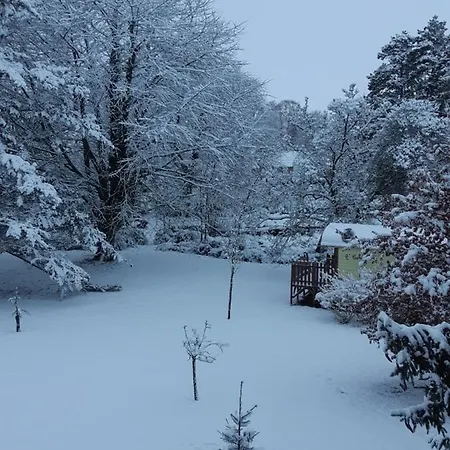 Le Domi Гостевой дом 3*