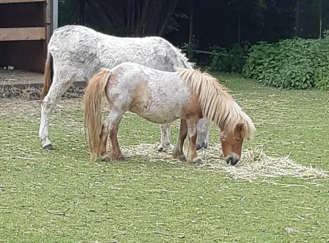 Le Domi Guest house 3*