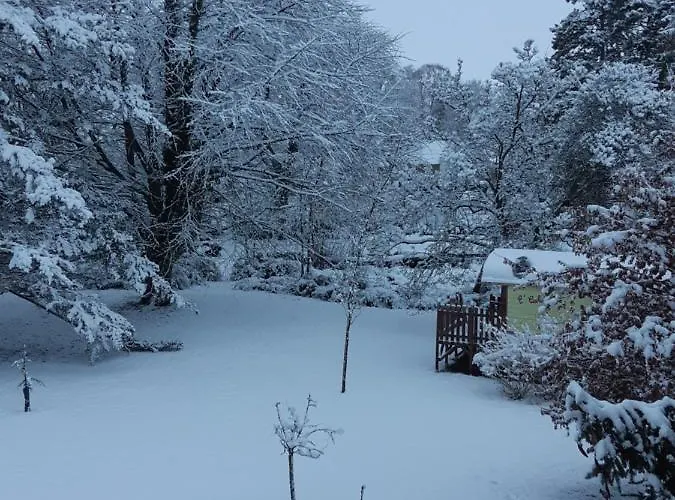 Le Domi Guest house 3*